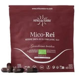 Mico Rei reishi extract, 60 capsules, Hifas da Terra