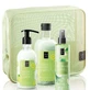 Set de îngrijire a corpului LAVISH CARE Sweet Citrus Garden cu gel de duș, cremă de corp și ceață de corp
