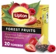 Lipton thé noir express aux fraises de France 20 ...