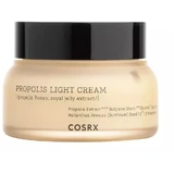 Cosrx Propolis Light Cream on the Base of Extract of ...