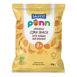 Salvest Ponn Bio croustillants à la mangue 20 g