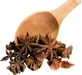 Green Touch Star Anise 50 g