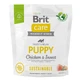 BRIT Care Sustainable Puppy, XS-XL, Pui și Insecte, hrană uscată câini junior, sistem digestiv, 1kg