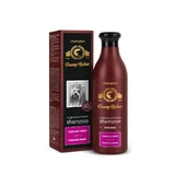 CHAMP RICHER Yorkshire Terrier, shampoo for dogs, Lavender, bottle with applicator, 250ml