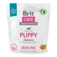 BRIT Care Grain-Free Puppy, XS-XL, Somon, hrană uscată fără cereale câini junior, piele &amp; blană, 1kg