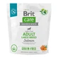 BRIT Care Grain-Free Adult Large Breed, L-XL, Somon, hrană uscată fără cereale câini, piele &amp; blană, 1kg