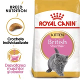 ROYAL CANIN British Shorthair Kitten, dry food for junior cats, 2kg