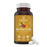 Berbérine, 60 gélules, Faunus