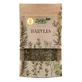 Herbe, basilic, 20 g