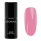 NeoNail Blooming Dreams, Stellar Pink hybrid polish, 7.2 ml
