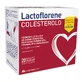 Lactoflorene Cholestérol 20 Sachets