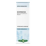 Echinacea Root Solution Hydroalcoolique 50ml Erbavita