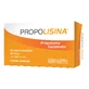 PROPOLISIN CITRUS 12STICK AUR