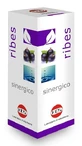 SYNERGISTIC CURRANT GTT 100ML