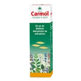 Gel de massage Carmol 80ml