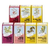 Floradix Peppermint Infusion BIo 15 Filters