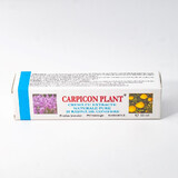 Crema con estratti naturali puri e resina di conifere Carpicon Plant, 50 ml, Elzin Plant