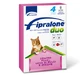 FIPRALONE DUO CAT 4 PIP ROZ