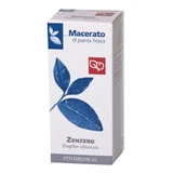 GINGER 50ML TM