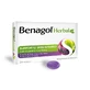 BENAGOL HERBAL FRUTTI DI BOSCO 24 - pastiglie per il benessere della gola