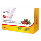 Idelyn Urinal, 30 gélules, Walmark