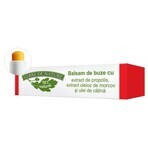 Baume à lèvres à la propolis, aux extraits de carotte et de catane 4.8 g, Verre de Nature