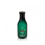 Argan/Ginger Shampoo 250 Ml