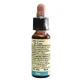 Elm 10ml Par Leo