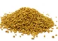 Fenegriek in hele Trigonella zaden 100 g