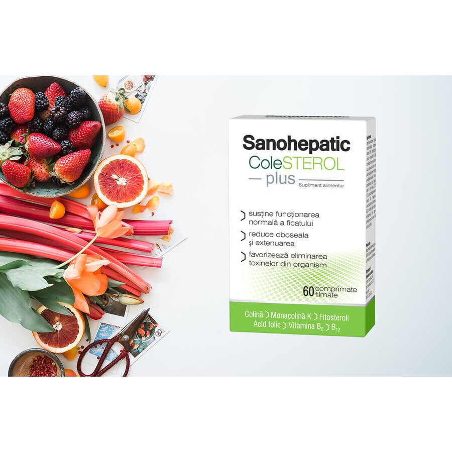 Sanohepatic COLESTEROL Plus, 60 comprimés pelliculés, Zdrovit