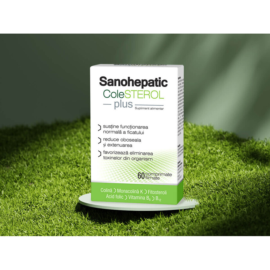 Sanohepatic COLESTEROL Plus, 60 comprimés pelliculés, Zdrovit