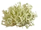 Quercus mos in kruidenthee thallus 100 g