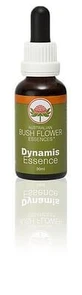 Dynamis 30 Ml 1 Pièce
