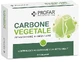 PROFAR CĂRBUNE 80CPR