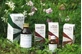 RAEMIL Propoli Olio 25ml