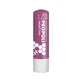 Lz3 Propolis Lip Stick Euphidra 4.5g