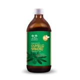 Salugea Sea Buckthorn Juice Bio 500ml