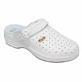 CLOG Bonus Holes Alb 43