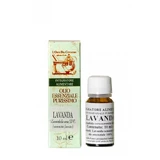 Lavender Essential Oil 10 Ml