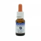 Lapis lazuli Single Essence Tibetan Waters 15ml
