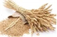 Zachte Tarwezemelen 100 Gr