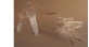 SPECULUM Vag.St.Piccolo F/CARE