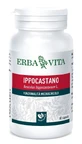 Rosskastanie 60cps 400mg