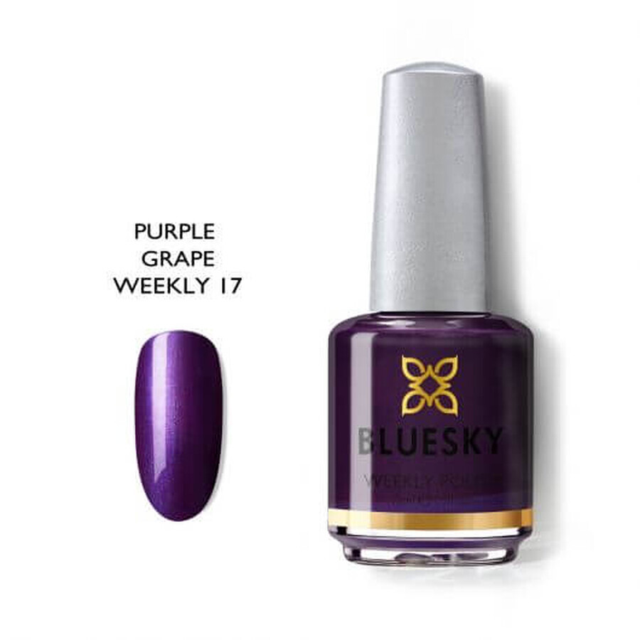 Vernis à ongles Bluesky Purple Grape 15ml