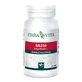 Galega 60 capsules Erbavita