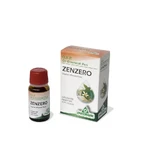 Ginger Pure Essential Oil 10ml