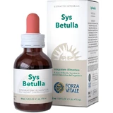 Sys Birch Solution Hyaluronique 50ml