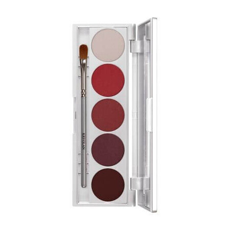 Paleta machiaj 5culori Kryolan SHAdeS TOKYO/10G