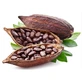 Boabe întregi de cacao uscate 100g