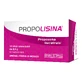 PROPOLISIN FR BOSC 12STICK SAU
